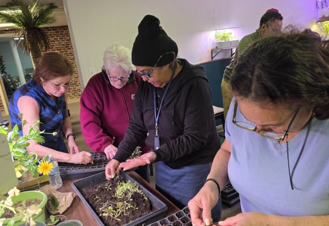Members tending the indoor garden