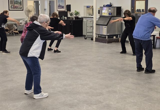 Seniors in a Zumba Gold exercise class