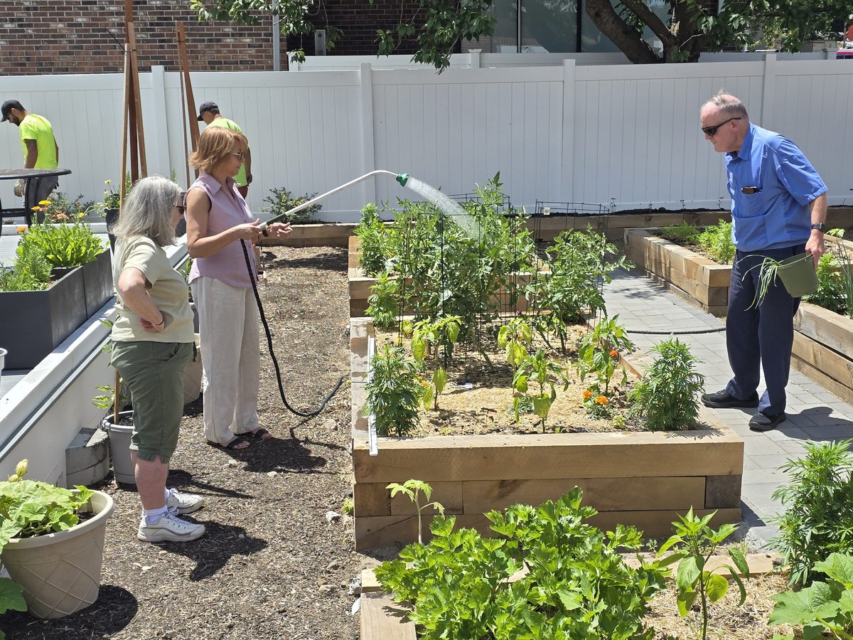 Members tending the raised garden beds at Aging Well Inc.